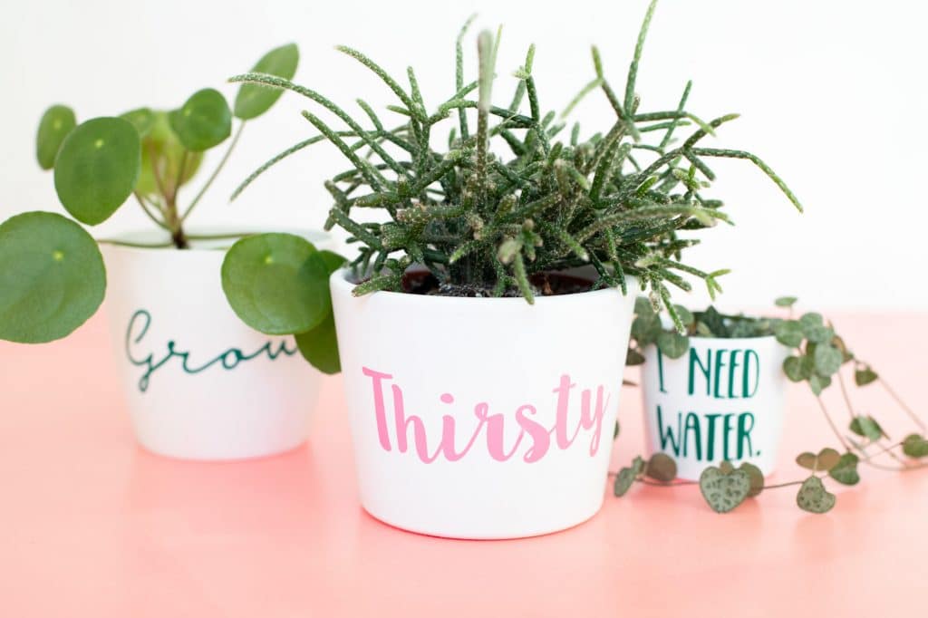 Plotter Plantlover Blumentopf