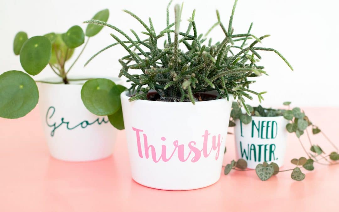 PLANTLOVER-TÖPFE MIT DEM PLOTTER [PLOTTERCHALLENGE]