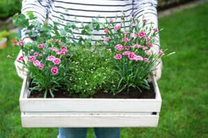 Geschenkidee: Freude und Blumen schenken zum Tag der Freundschaft